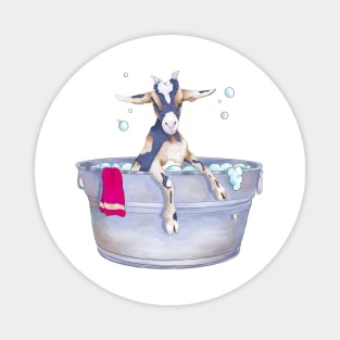 Goat in the Tub Magnet